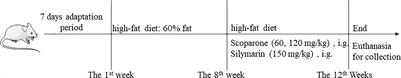 Effects of scoparone on non-alcoholic fatty liver disease revealed by RNA sequencing